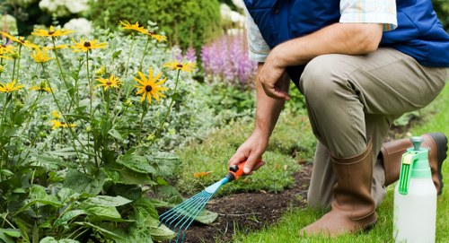 Garden maintenance crew pruning and planting in a communal courtyard