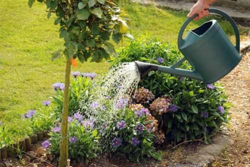 Van-load and skip options for garden waste removal