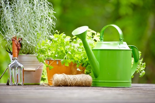 Seasonal care activities for thriving poplar trees